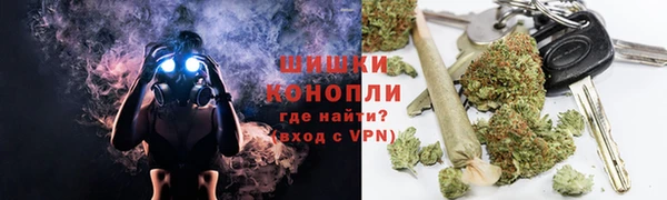 ГАЛЛЮЦИНОГЕННЫЕ ГРИБЫ Белоозёрский