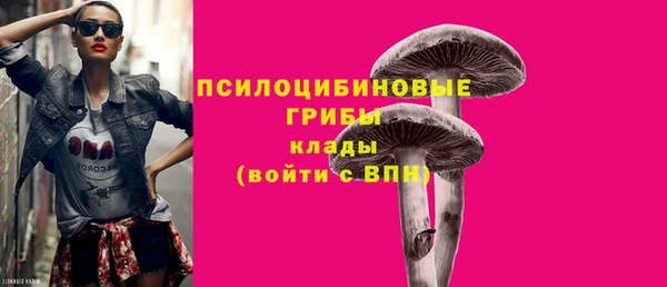 ГАЛЛЮЦИНОГЕННЫЕ ГРИБЫ Белоозёрский
