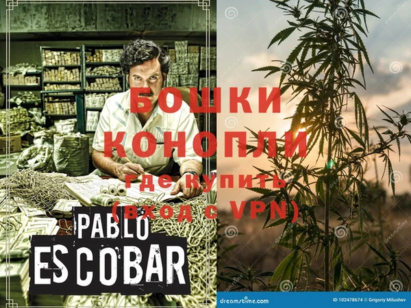 ГАЛЛЮЦИНОГЕННЫЕ ГРИБЫ Белоозёрский