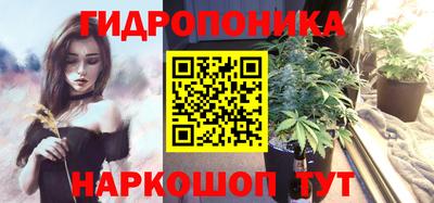 гашик Балахна