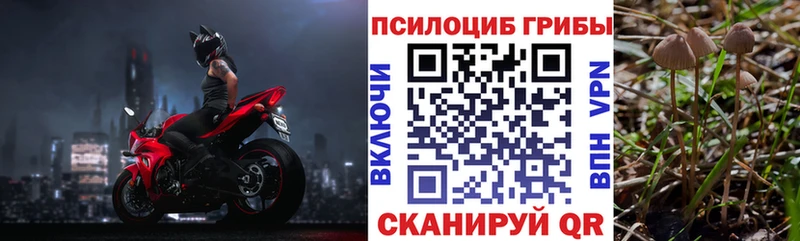Галлюциногенные грибы мухоморы  закладка  Бугульма 