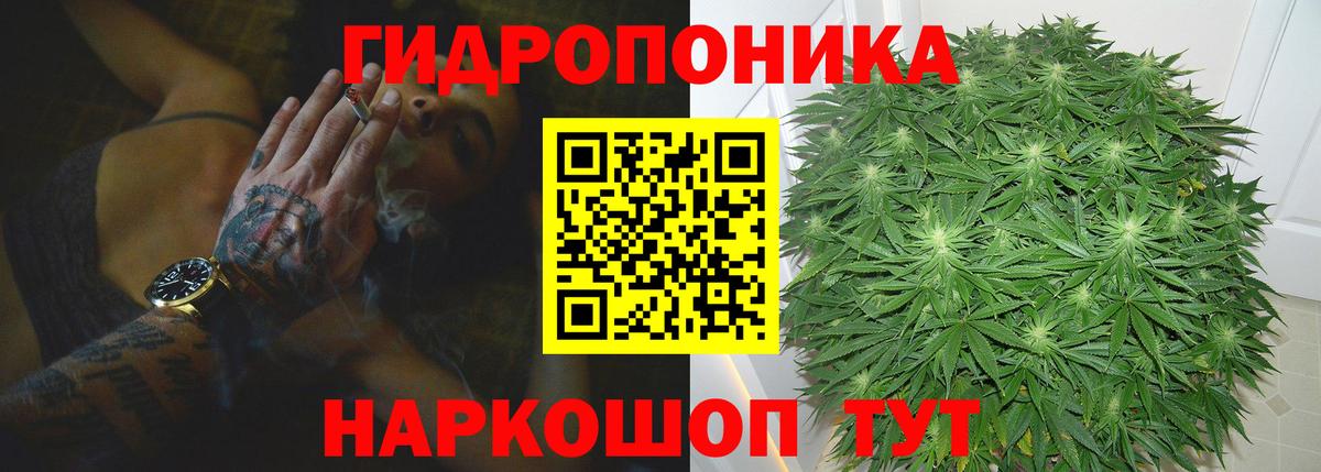 Бошки марихуана SATIVA & INDICA  МАРИХУАНА ГИДРОПОН  Бугульма  Бошки марихуана индика  Вход с VPN  Бошки марихуана семена 